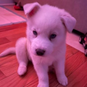 Meet your Posher, Chloe